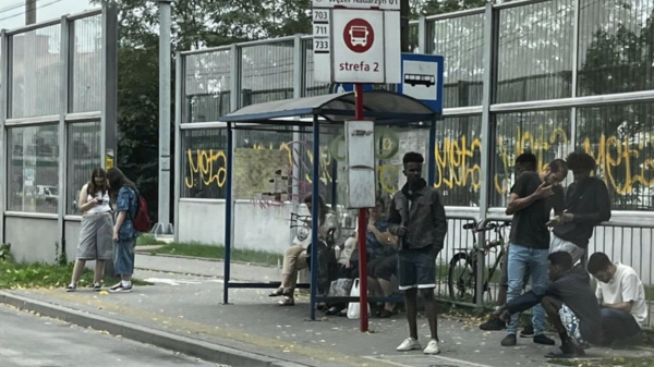 migranci