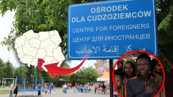 migranci