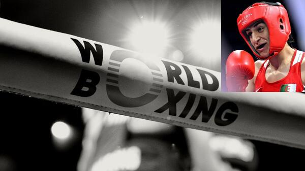 world boxing imane khelif