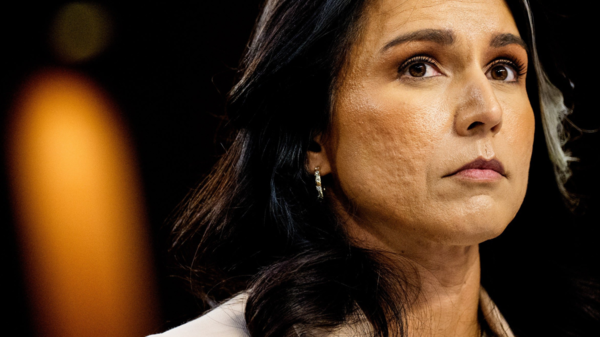 Tulsi Gabbard