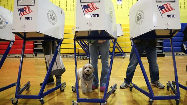 wybory burmistrza Nowego Jorku