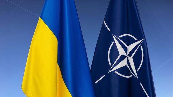 Ukraina NATO