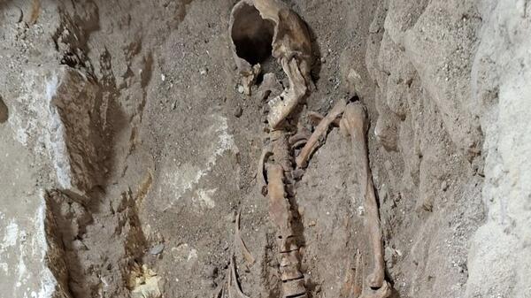 możliwe, że Szkielet D’Artagnana