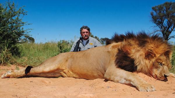słonie stratowały miliardera