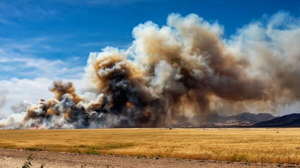 pożary w Kalifornii