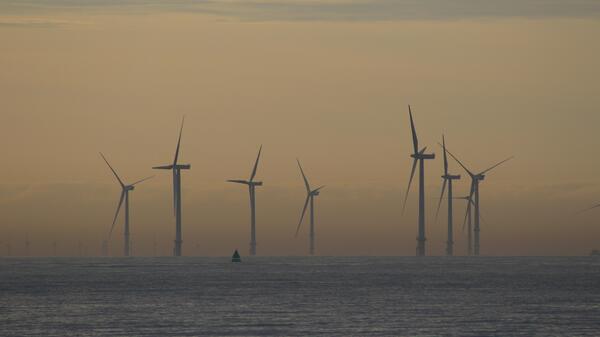farma wiatrowa