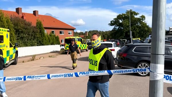 policja szwedzka