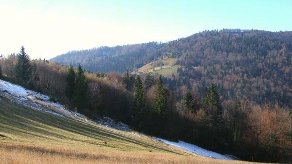 beskidy