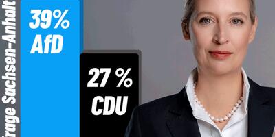 sondaż: AfD nokautuje