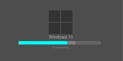 windows 11