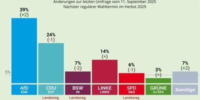 AfD prowadzi w sondażach z rekordowym wynikiem