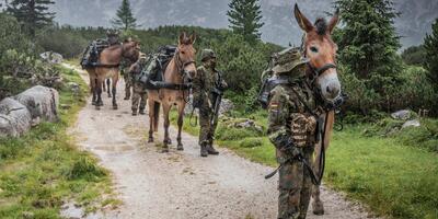 Bundeswehra