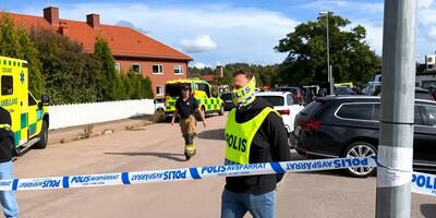 policja szwedzka