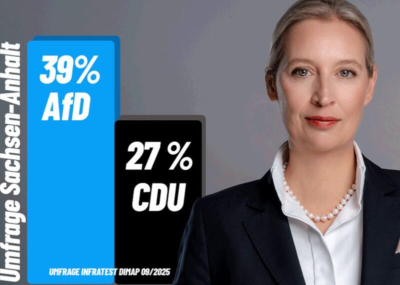 sondaż: AfD nokautuje
