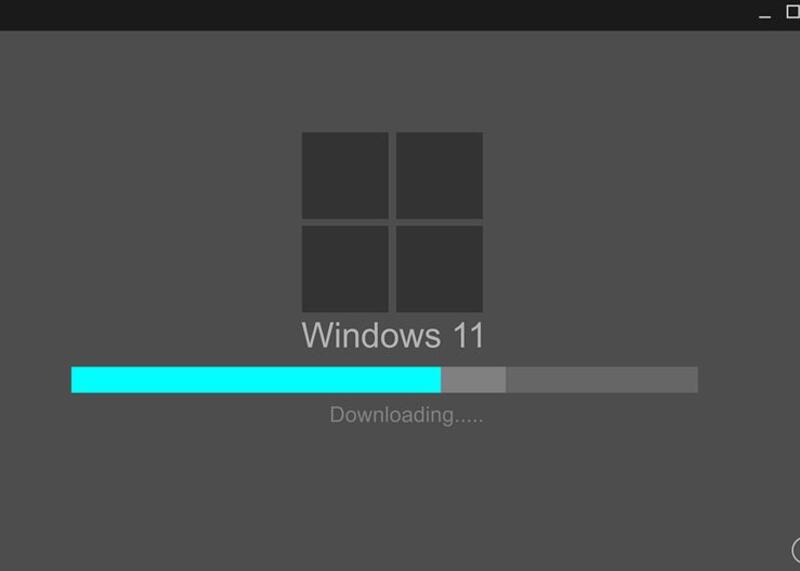 windows 11