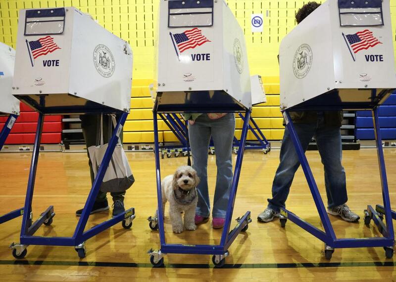 wybory burmistrza Nowego Jorku