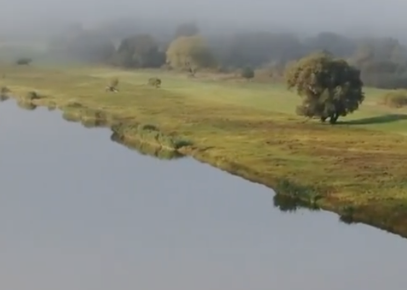 Niemcy rozczarowane wetem prezydenta ws. Odry