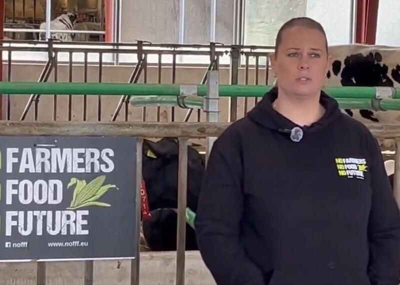 hodowca krów z Danii