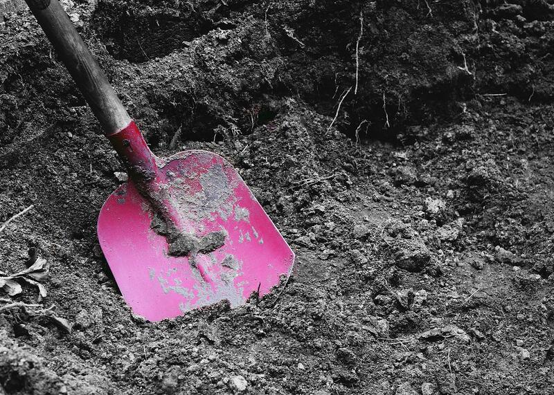 płytki dół w ogrodzie