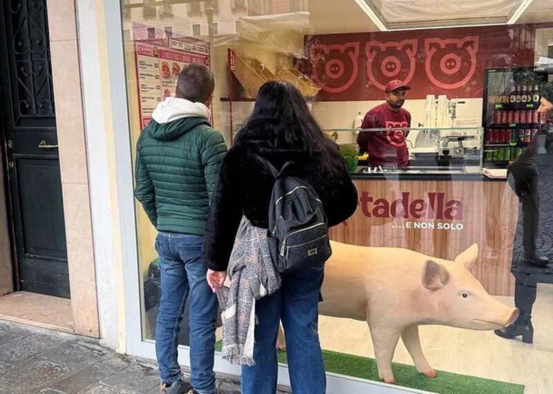 plastikowa świnia w sklepie w Padwie