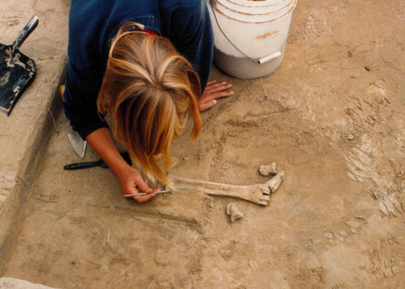 zdjęcie miejsca badań