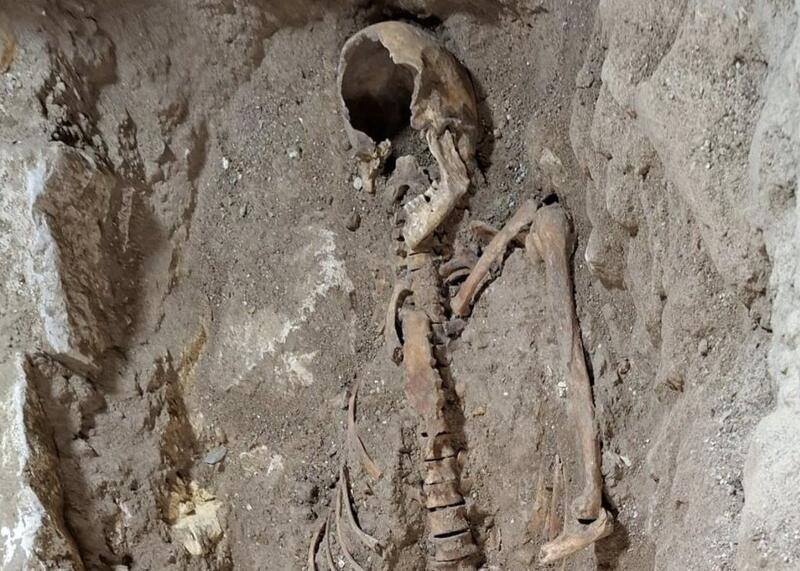 możliwe, że Szkielet D’Artagnana