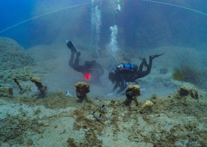 wyławianie fragmentu Partenonu